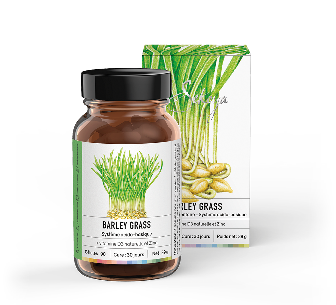 Gerstengras Barley Grass 90 Kapseln Sekoya